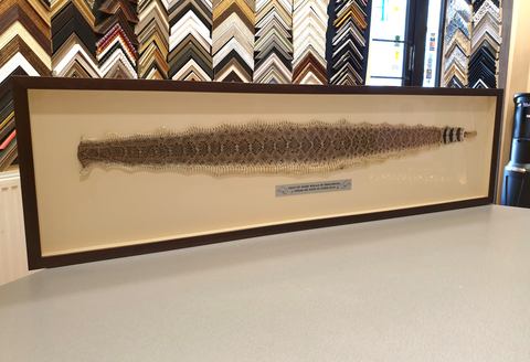 piltide raamimine